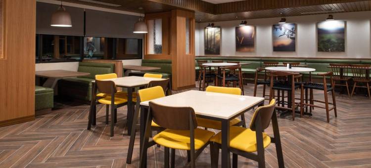 坎顿万豪万枫套房酒店(Fairfield Inn & Suites Canton)图片