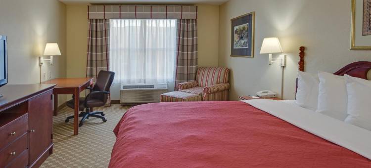 奥兰多环球大道希尔顿Spark酒店(Spark by Hilton Orlando Universal Blvd)图片