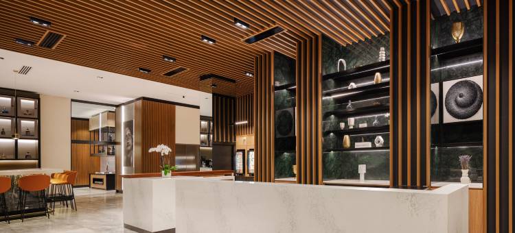 圣地亚哥德洛斯卡瓦列罗斯AC酒店(AC Hotel Santiago de Los Caballeros)图片