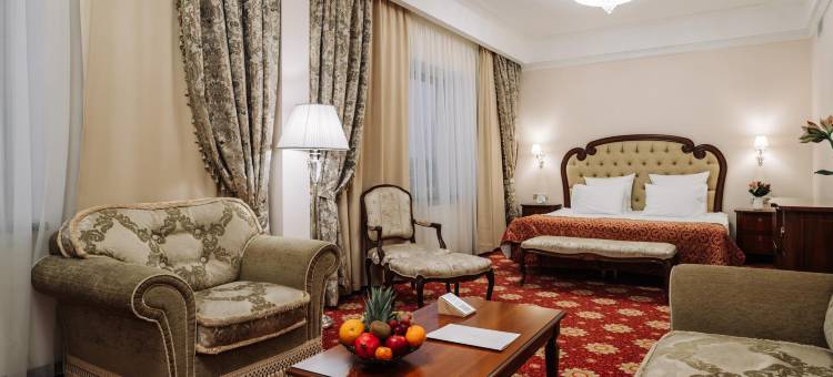 环形高级酒店(Ring Premier Hotel)图片