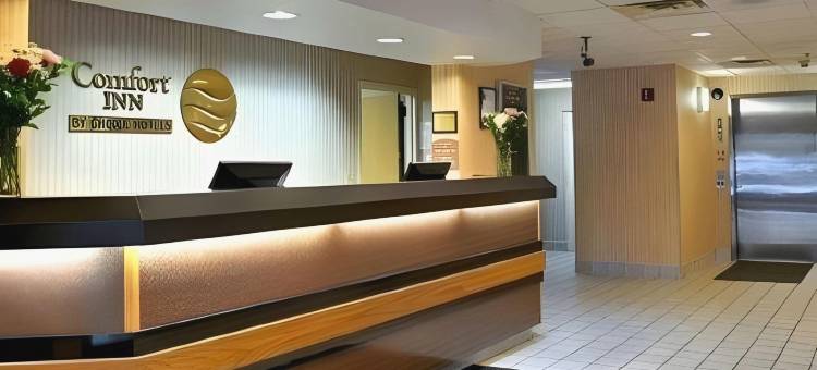 金斯兰凯艺酒店(Quality Inn Kingsland)图片