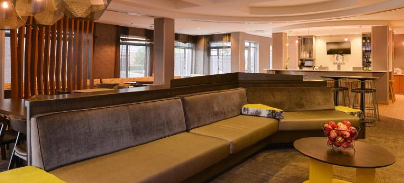 罗穆勒斯底特律都会机场万豪SpringHill酒店(SpringHill Suites Detroit Metro Airport Romulus)图片