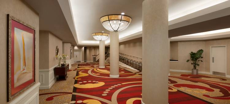 阿灵顿希尔顿酒店(Hilton Arlington)图片