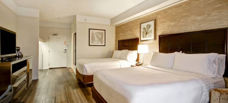 Holiday Inn & Suites 温莎(大使桥) by IHG(Holiday Inn & Suites Windsor (Ambassador Bridge) by IHG)图片