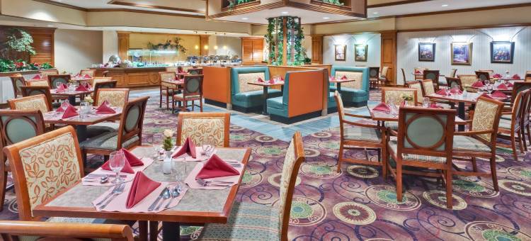 孟菲斯假日酒店-孟菲斯大学(Holiday Inn Memphis - University of Memphis)图片