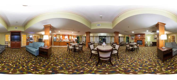 智选假日套房酒店卡拉马祖(Kalamazoo Hotel and Suites)图片