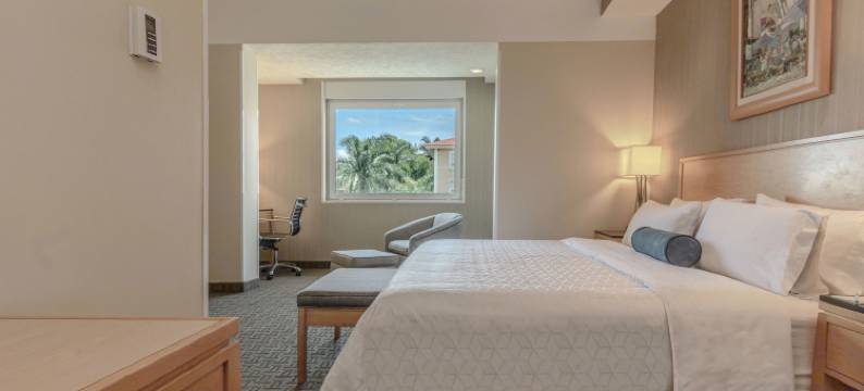 Holiday Inn 库埃纳瓦卡(Holiday Inn CUERNAVACA by IHG)图片