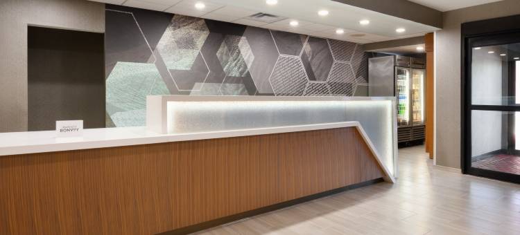 纽南SpringHill Suites 酒店(SpringHill Suites Newnan)图片