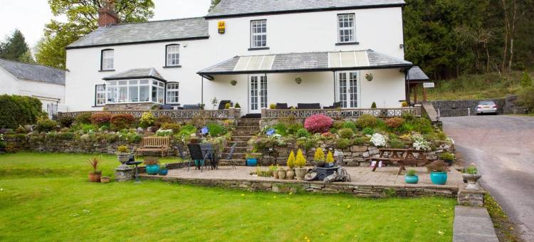 卢温欧恩旅馆(Llwyn Onn Guest House)图片