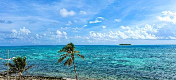 加勒比海岛酒店(Caribbean Island Hotel)图片