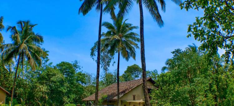 果园度假村(The Orchard Resort)图片