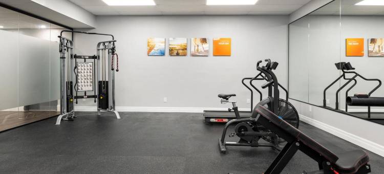 舒适酒店(Comfort Hotel)图片