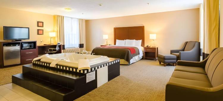 威斯维尔舒适酒店(Comfort Inn Wytheville - Fort Chiswell)图片