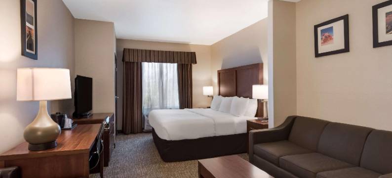 舒适套房酒店-拉斯维加斯内利斯(Comfort Inn & Suites Las Vegas - Nellis)图片