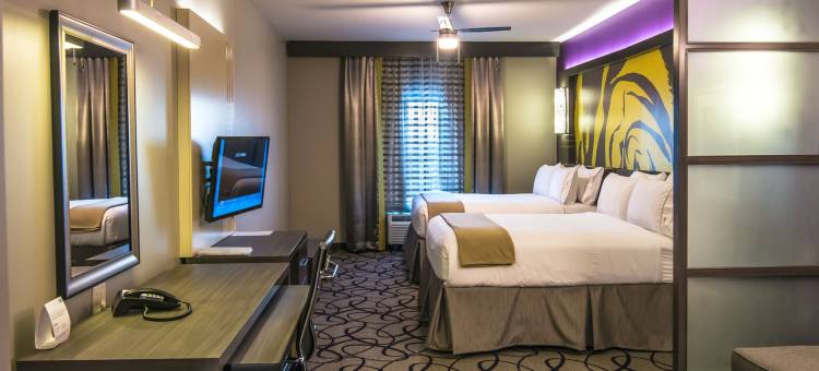 智选假日套房酒店加兰东(Holiday Inn Express & Suites Garland E - Lake Hubbard I30)图片