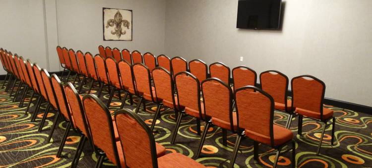 Holiday Inn 卡温顿的东南亚(Holiday Inn Covington)图片