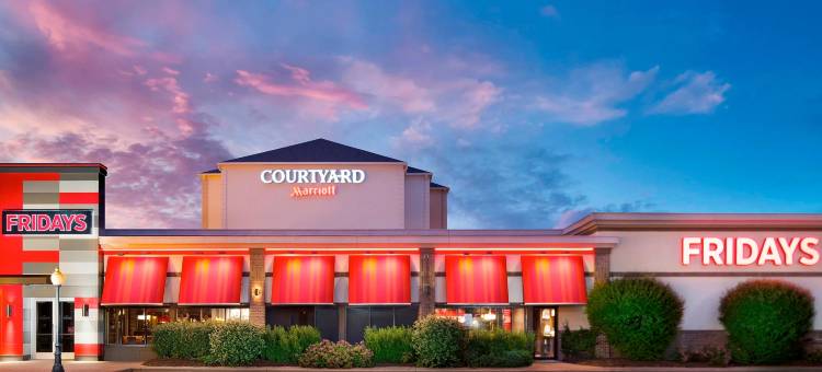 芝加哥中途机场万怡酒店(Courtyard Chicago Midway Airport)图片