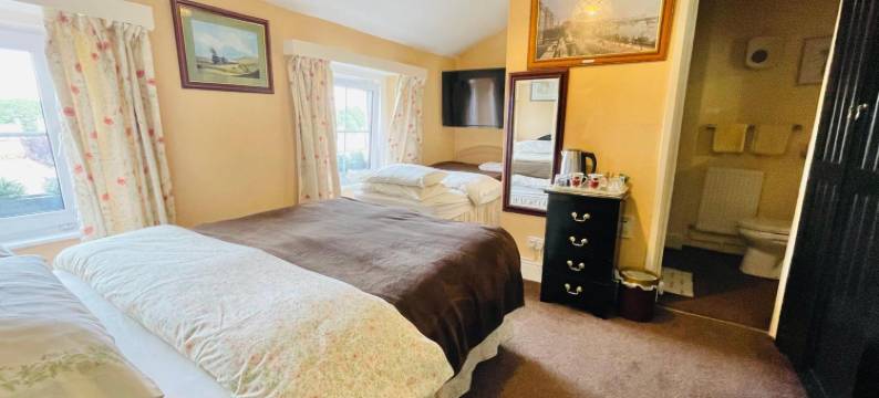 阿佩斯莱别墅旅馆(Apsley Villa Guest House.)图片