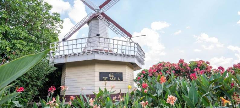 德玛拉(De Mala)图片