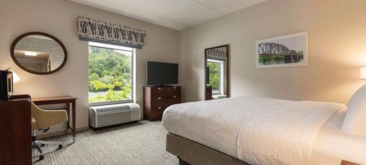 匹兹堡/水滨 - 西霍姆斯戴德希尔顿欢朋套房酒店(Hampton Inn & Suites Pittsburgh/Waterfront-West Homestead)图片