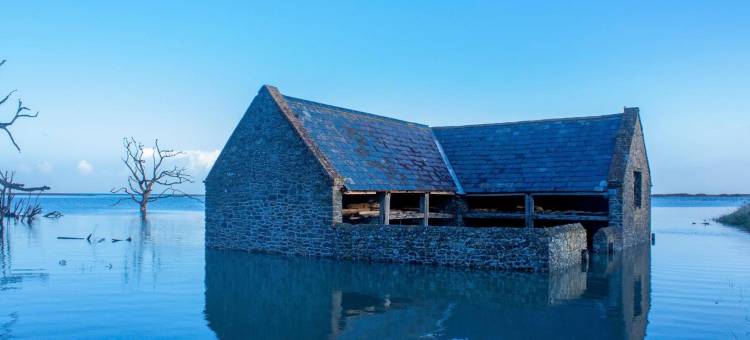 博星顿大厅酒店(Luxury Bed and Breakfast at Bossington Hall in Exmoor, Somerset)图片
