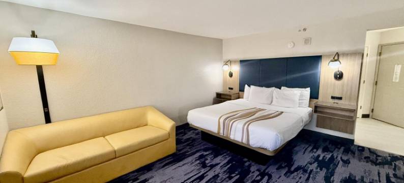 奥斯汀西南拉昆塔温德姆套房酒店(La Quinta Inn & Suites by Wyndham Austin Southwest)图片