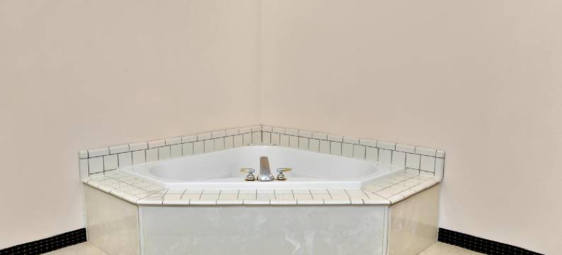 路易斯威尔-博览中心温德姆速8酒店(Super 8 by Wyndham Louisville/Expo Center)图片