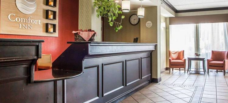 舒适酒店-利哈伊山谷西部(Comfort Inn Lehigh Valley West)图片