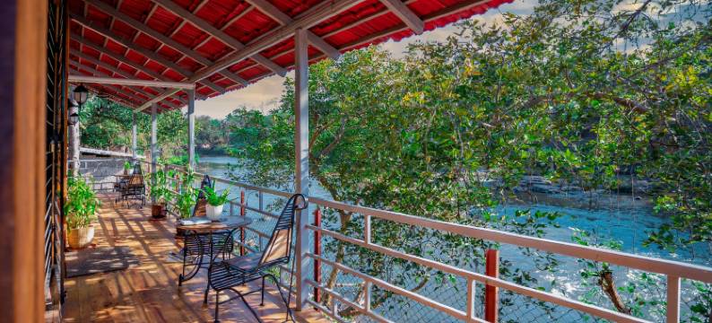 萨维达农场及小屋(SpicyMango Saveda Farm & Cottages)图片