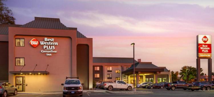 木棉树贝斯特韦斯特优质酒店(Best Western Plus CottonTree Inn)图片