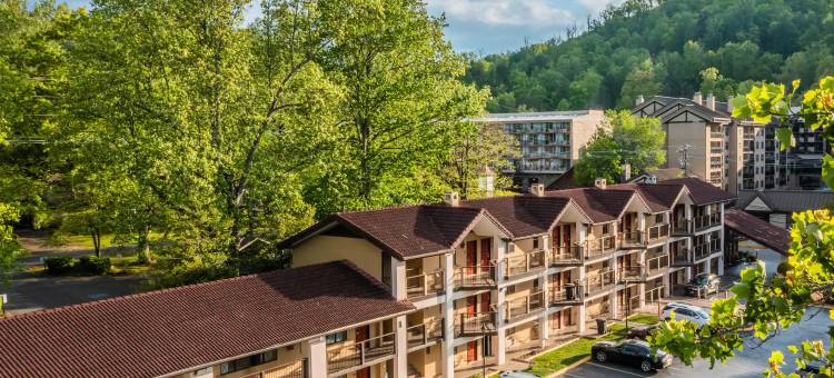 加特林堡市中心速8酒店及会议中心(Super 8 by Wyndham Downtown Gatlinburg at Convention Center)图片