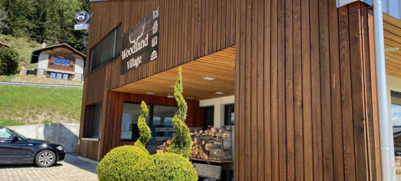 林地村(Woodland Village Anzère)图片