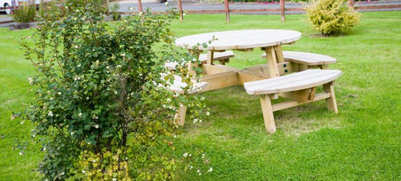 白天鹅旅馆(The White Swan Inn)图片