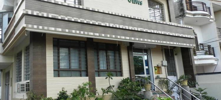 奥利韦斯旅馆(Welcome Olives)图片