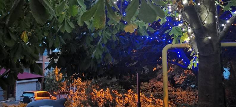 诺德士酒店(Nautilus)图片