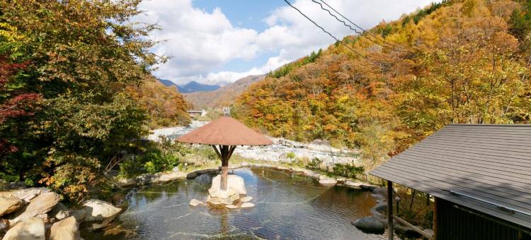 穗高庄山之酒店(Hodakaso Yamano Hotel)图片
