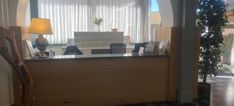 马切尔西涅酒店(Hotel Malcesine)图片