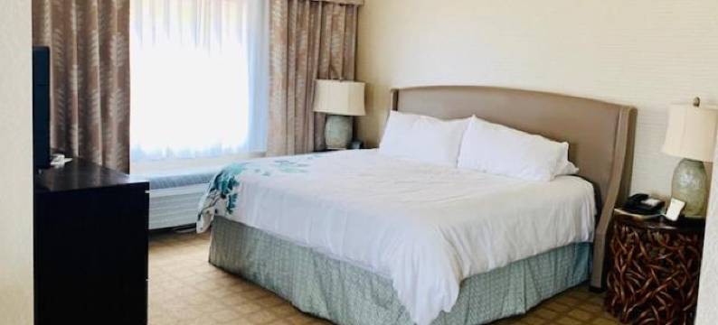 埃尔金斯蔚景温德姆酒店(Wingate by Wyndham Elkins)图片