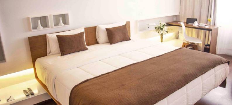 亚松森温德姆爱丝德酒店(Esplendor by Wyndham Asuncion)图片