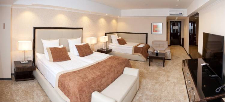 猎户座酒店(Orion Hotel)图片