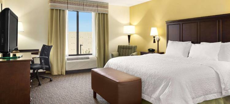 伯明翰伊格尔波恩特东280号欢朋套房酒店(Hampton Inn & Suites Birmingham/280 East-Eagle Point)图片