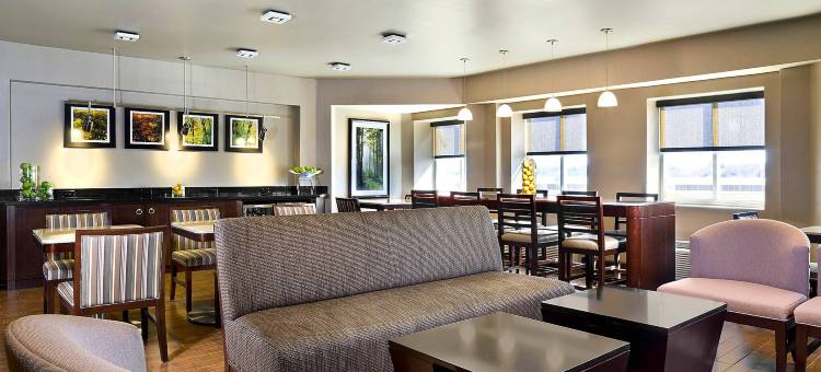 波士顿尼德姆喜来登酒店(Sheraton Boston Needham Hotel)图片