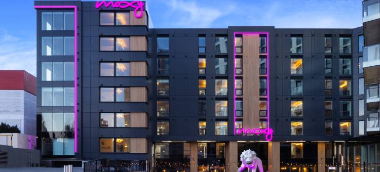 哈里法克斯市中心MOXY酒店(Moxy Halifax Downtown)图片