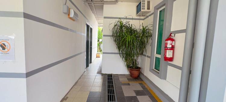波尔尼奥旅馆(Borneo Inn)图片