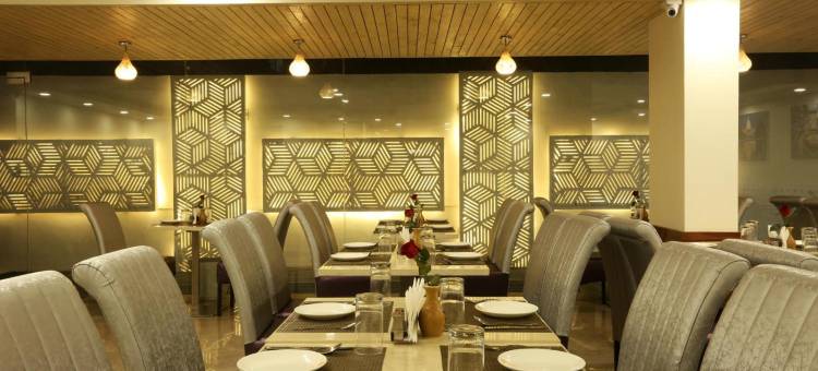 欧米茄酒店-古尔冈中心(Hotel Omega - Gurgaon Central, Sec 45)图片