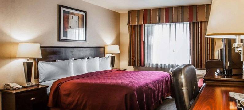 阿纳海姆公园品质套房酒店(Quality Inn & Suites Anaheim at the Park)图片