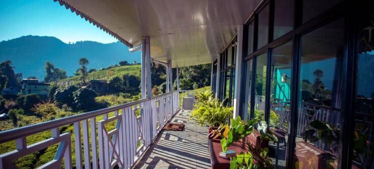 Eco Adventure Resorts the Temi Bungalow图片