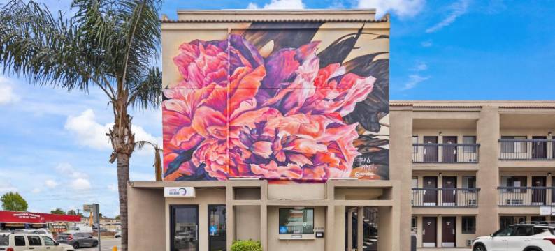 奇迹酒店(Hotel Milagro)图片