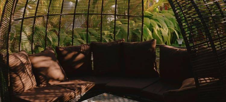 Palm Garden Ayurveda Resort Ahangama图片