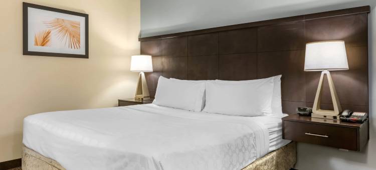 Staybridge Suites 佛罗里达州圣彼得堡(Staybridge Suites ST. Petersburg Downtown)图片